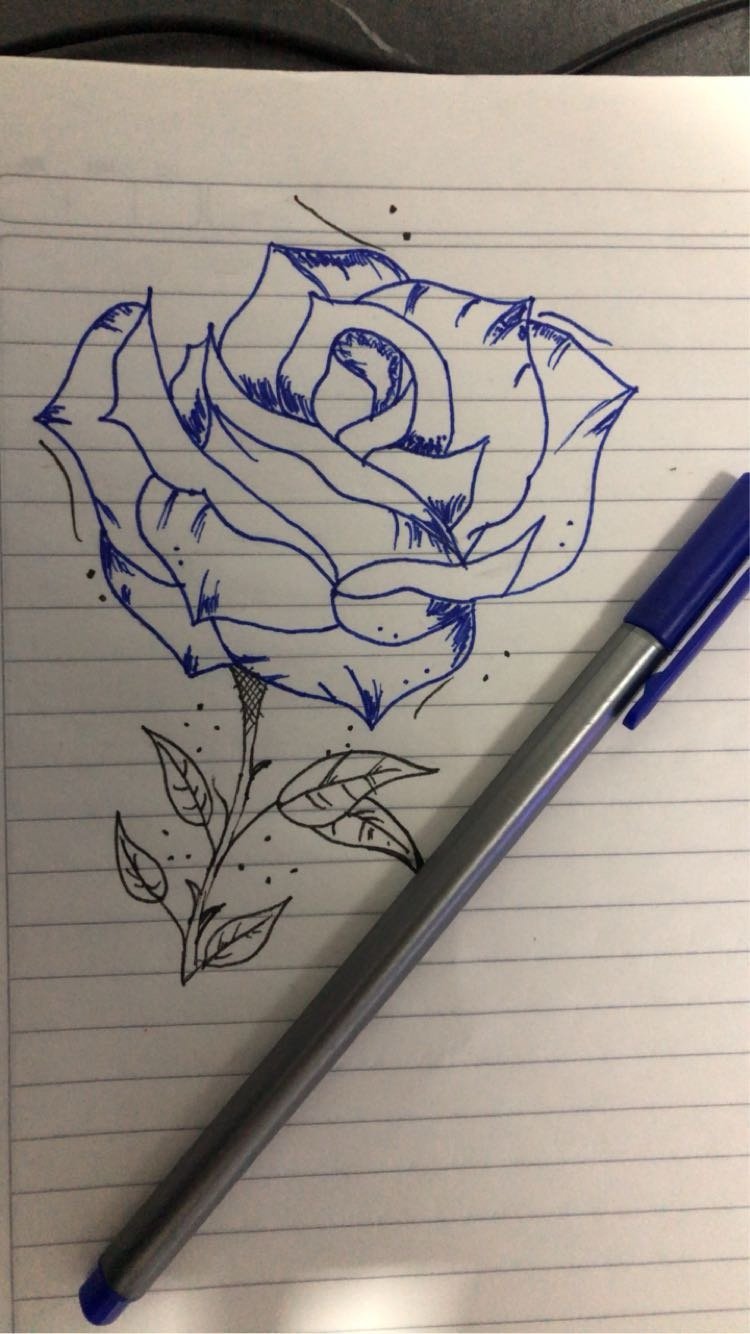Rosa dibujada a mano con esfero azul