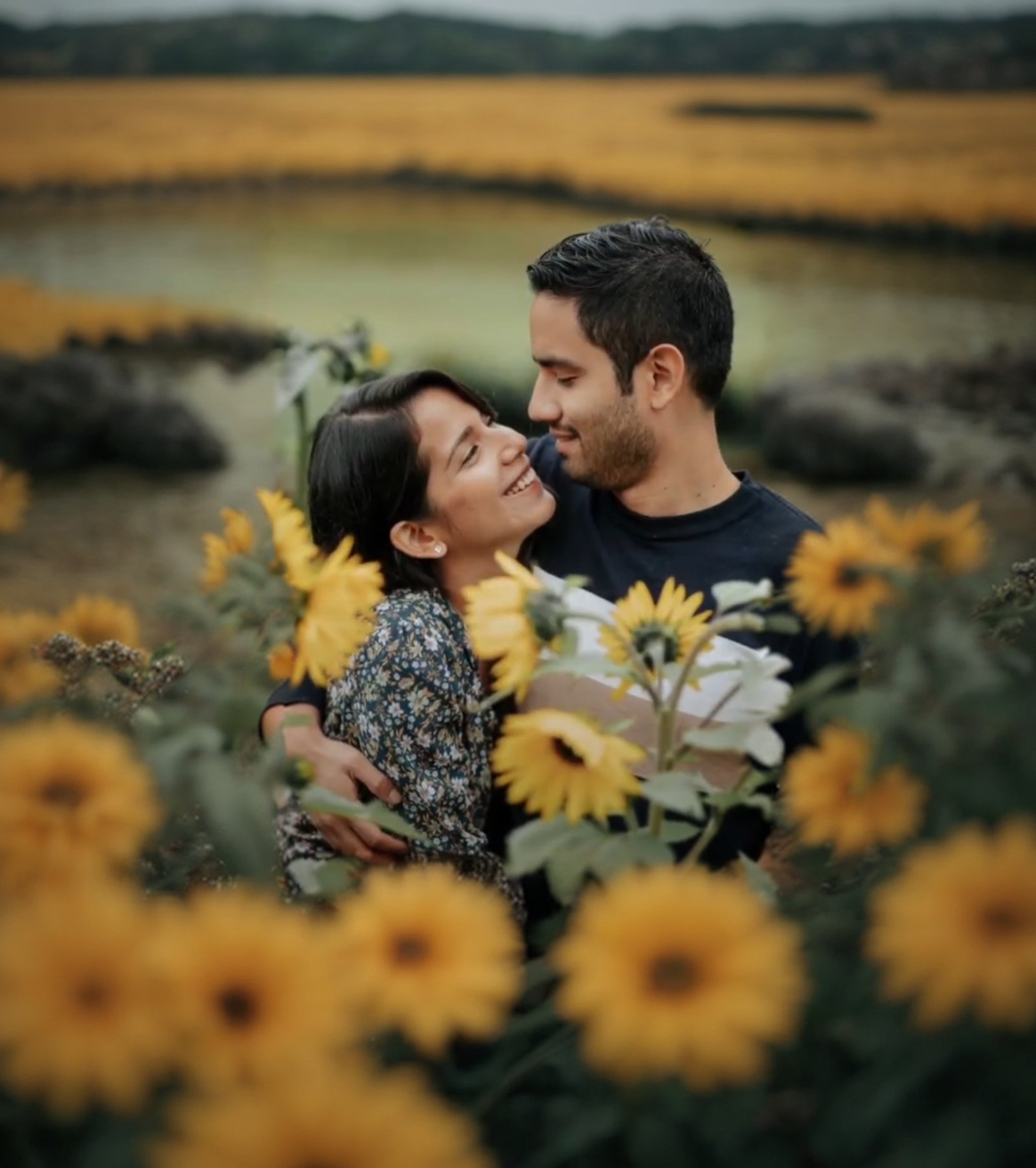 Andrea e Iván abrazados en un campo de girasoles